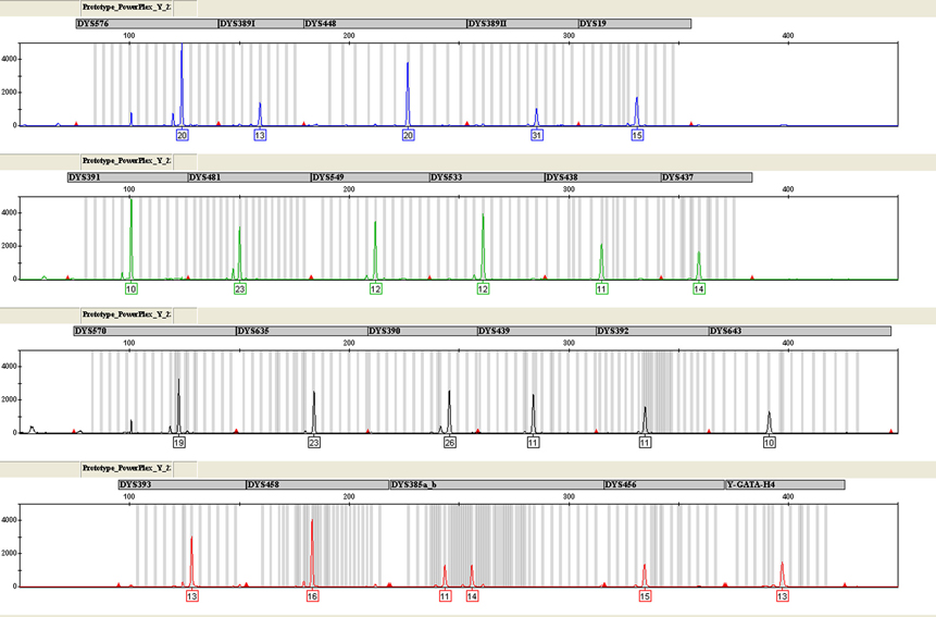 Y23-310-Fig-3_web